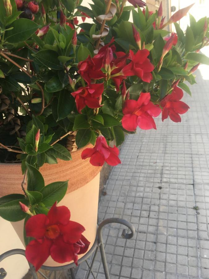 Appartamento Carrer Dels Horts Alghero Esterno foto
